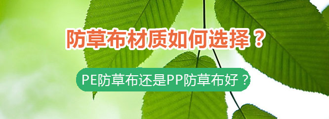 防草布材质如何选择？PE防草布与PP防草布的区别